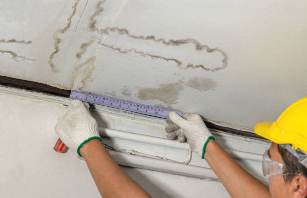Reliable Mold Remediation contractor in Ferndale, MI by Local Water Damage Repair